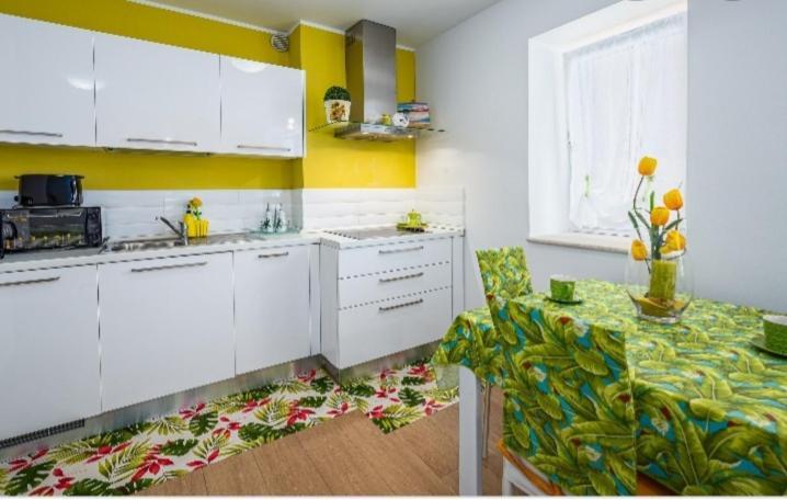 Green day Novigrad Istria Buitenkant foto